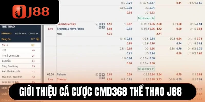Giới thiệu cá cược CMD368 thể thao J88 