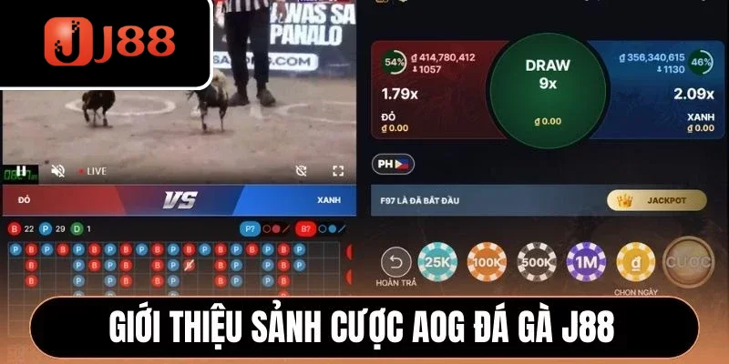 Giới thiệu sảnh cược AOG đá gà J88