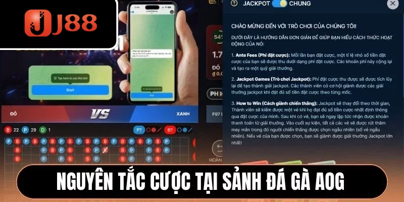 Nguyên tắc cược tại sảnh đá gà AOG