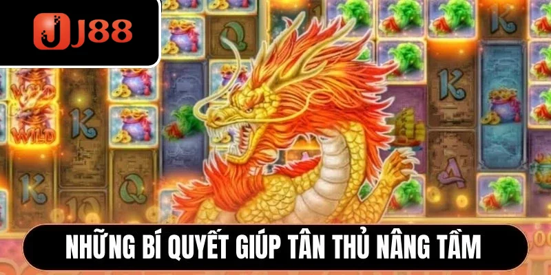 Những bí quyết giúp tân thủ nâng tầm