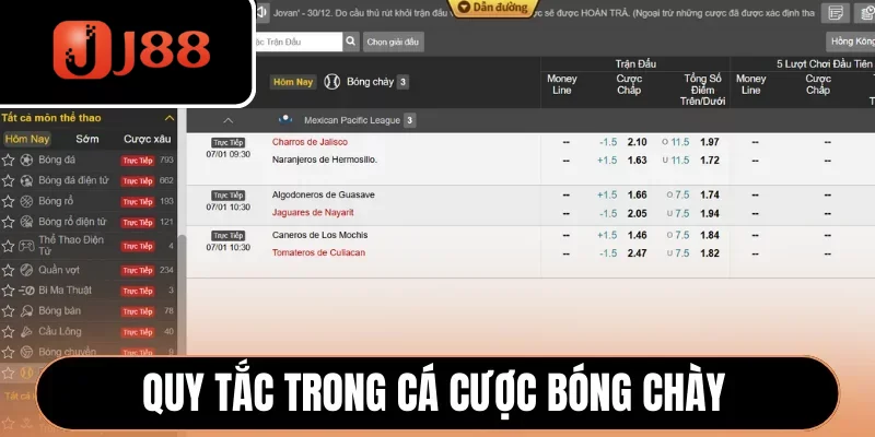 Quy tắc quan trọng trong cá cược bóng chày Quy tắc quan trọng trong cá cược bóng chày