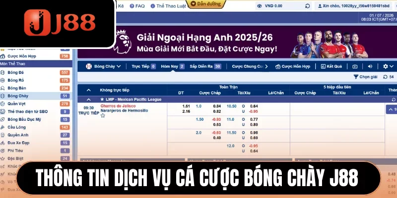 Thông tin dịch vụ cá cược bóng chày J88 Thông tin dịch vụ cá cược bóng chày J88