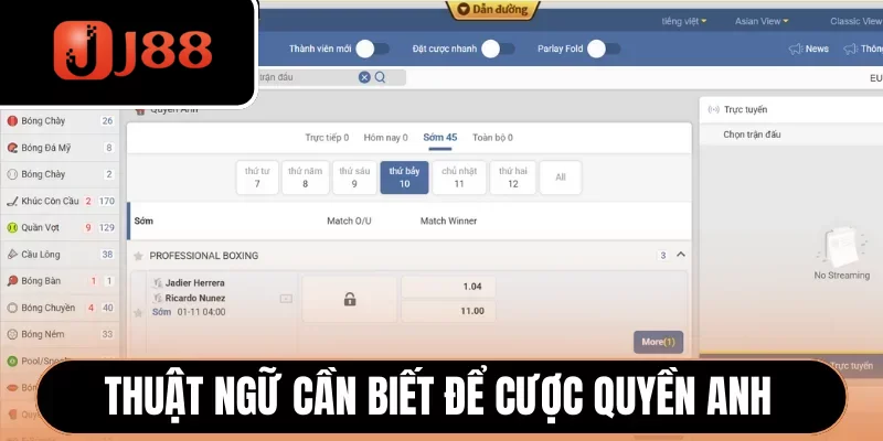Thuật ngữ cần biết để cược quyền anh