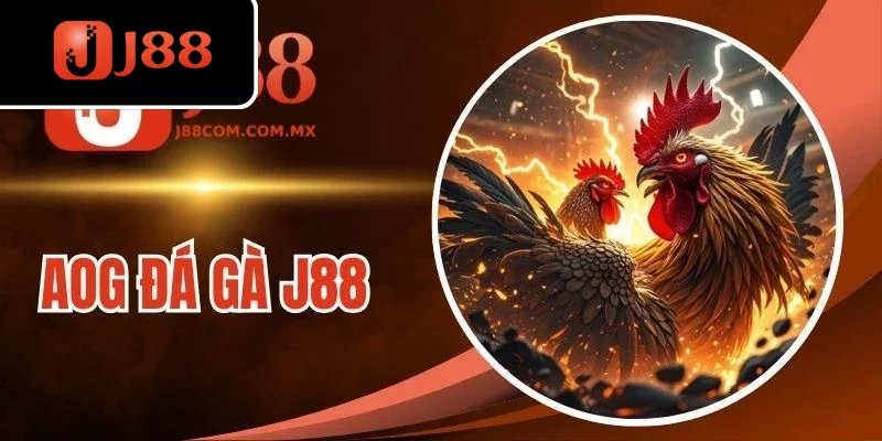 AOG Đá Gà J88 - Sảnh Cược Đấu Chọi Kịch Tính, Thưởng Cao