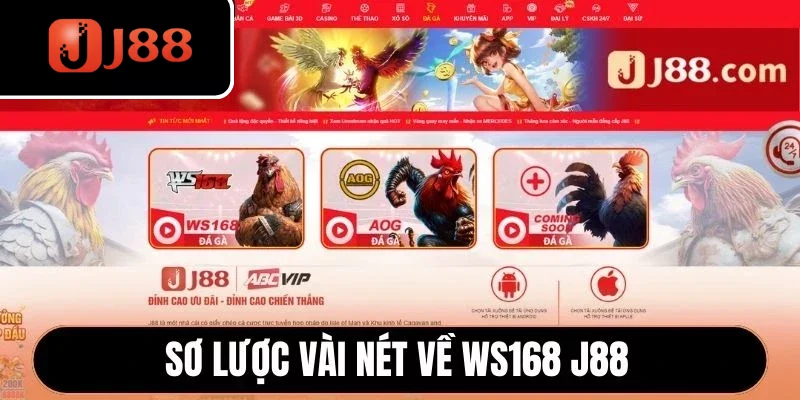 Sơ lược vài nét về WS168 J88