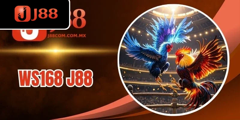 WS168 J88 - Sảnh Cược Đá Gà Đẳng Cấp Với Trận Đấu Kịch Tính